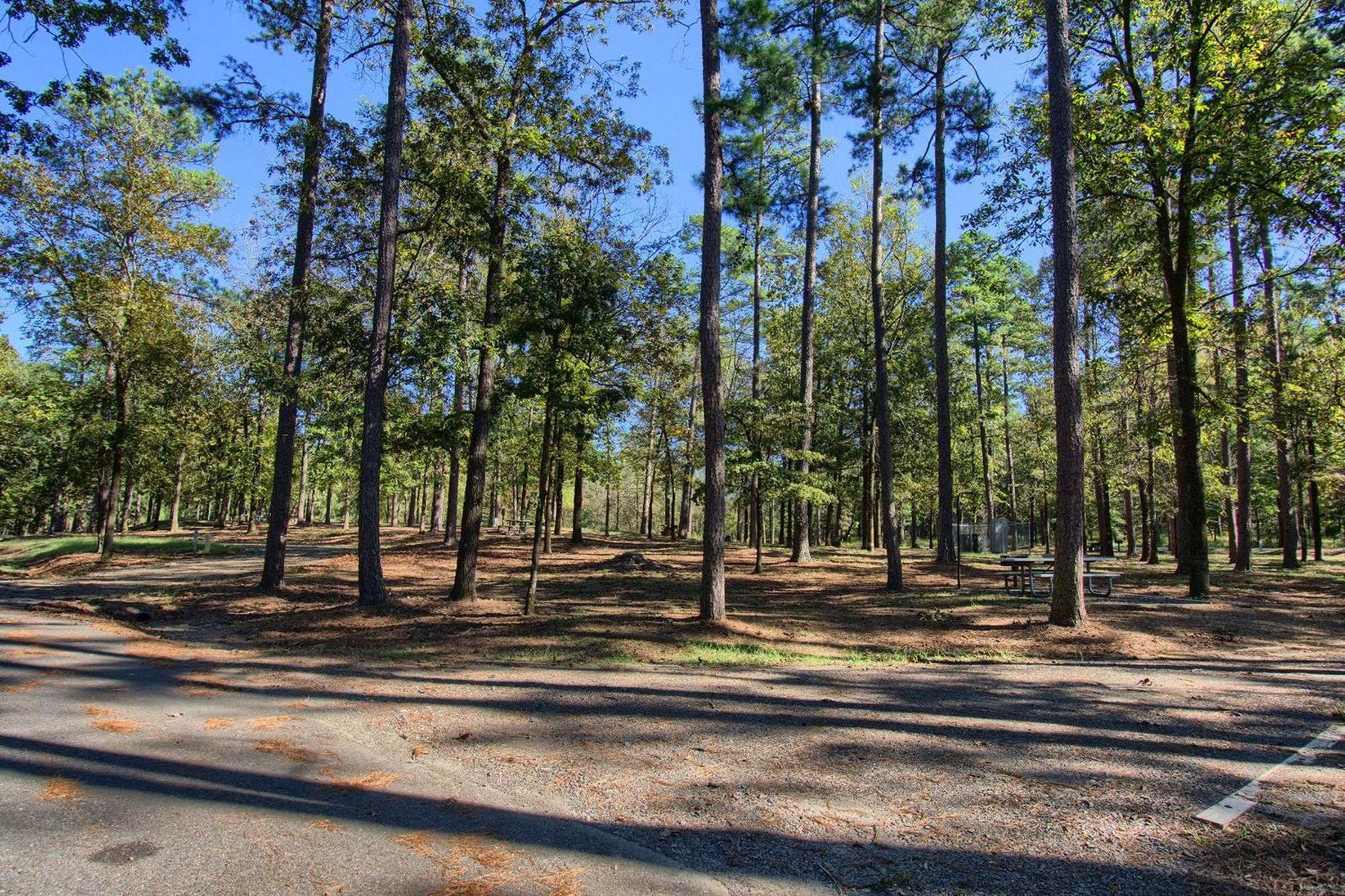 The Americana - Parker Creek Bend Cabins Мърфрисборо Екстериор снимка