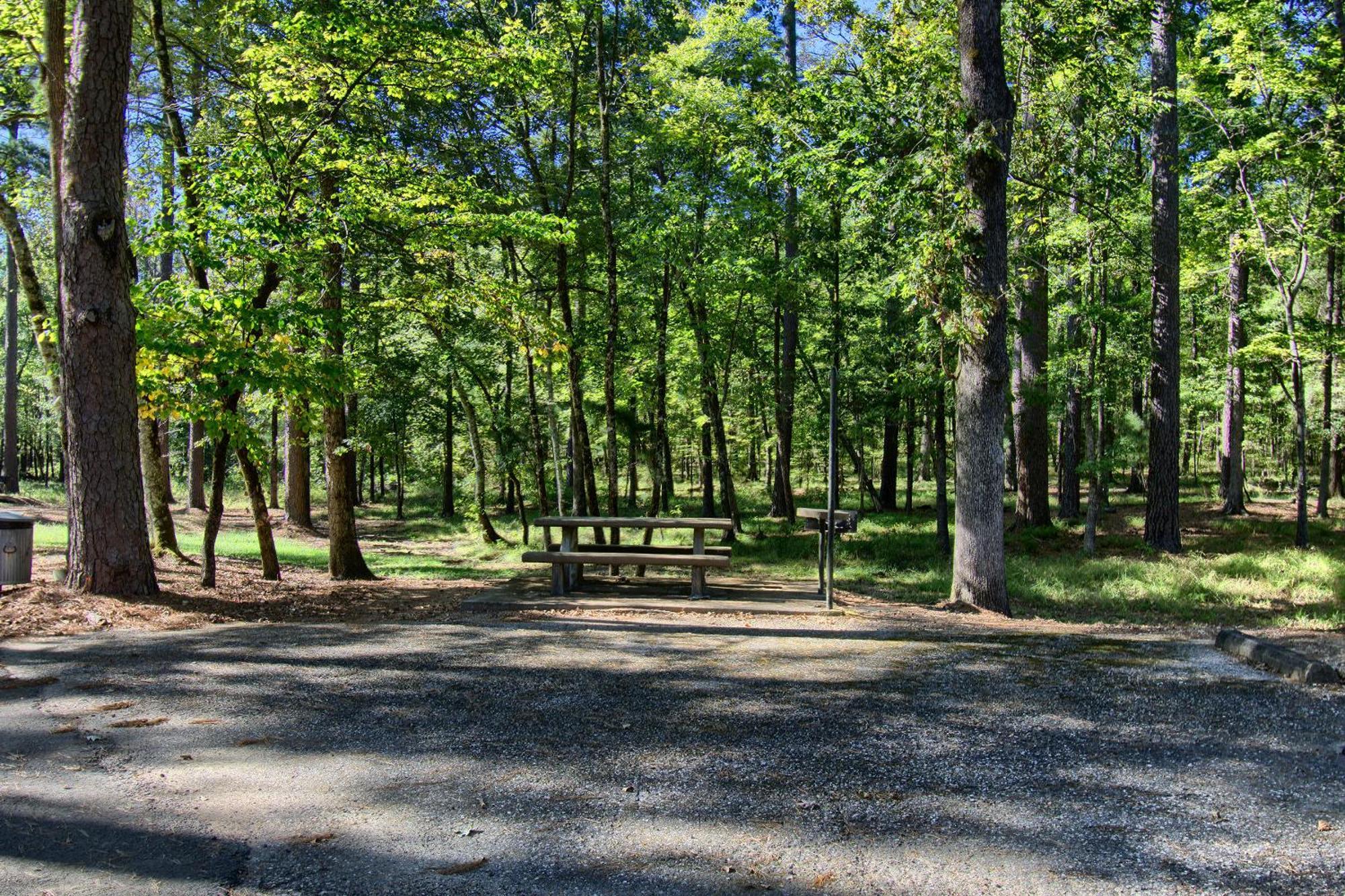 The Americana - Parker Creek Bend Cabins Мърфрисборо Екстериор снимка